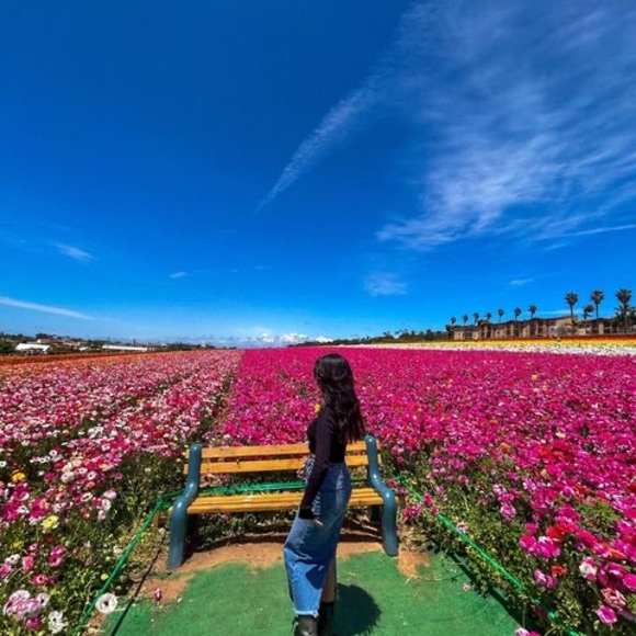 Meet your Posher, Samla - Picture 1 of 1